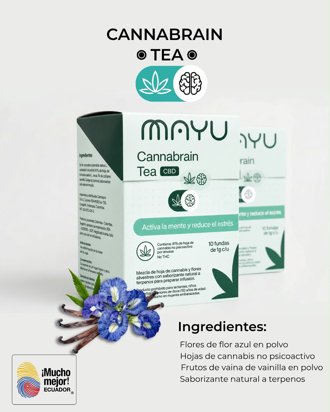 Empaque Cannabrain Tea MAYU