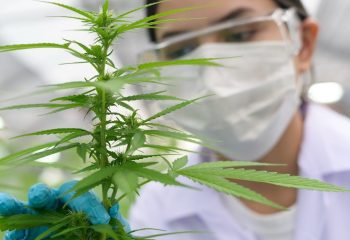 WhatsApp Image 2026-03-31 at 12.50.07 PM